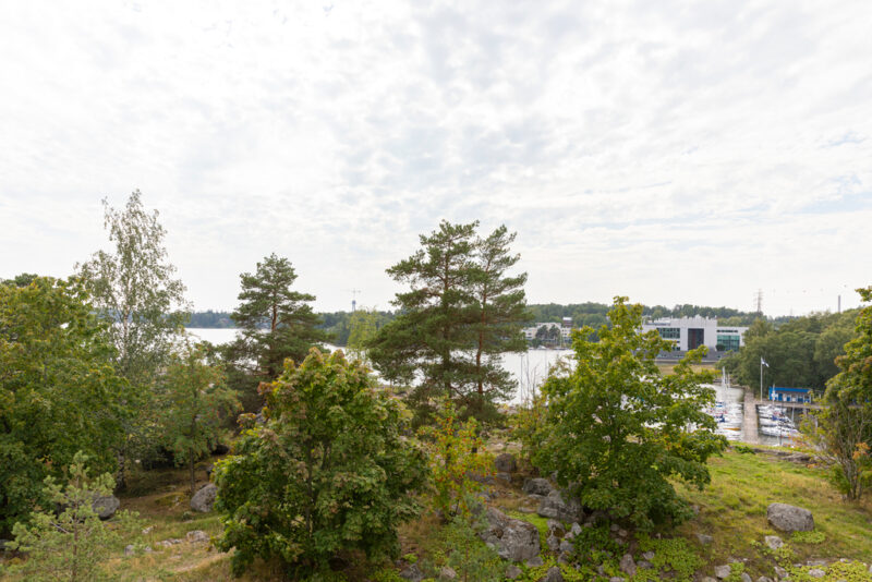 Rauhallinen ulkonäkymä, jossa taustalla näkyy vesistö, mahdollisesti meri. Etualalla on useita puita, joissa on eri sävyisiä vihreitä lehtiä. Taivas on pilvinen ilman näkyvää aurinkoa. Kauempana veden toisella puolella näkyy rakennuksia, jotka kuuluvat kaupunkimaisemaan.